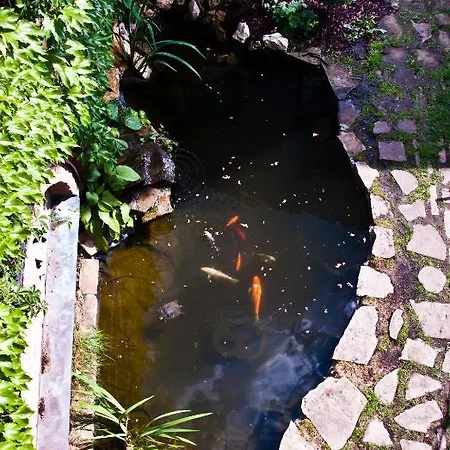 Fajka Guest house *